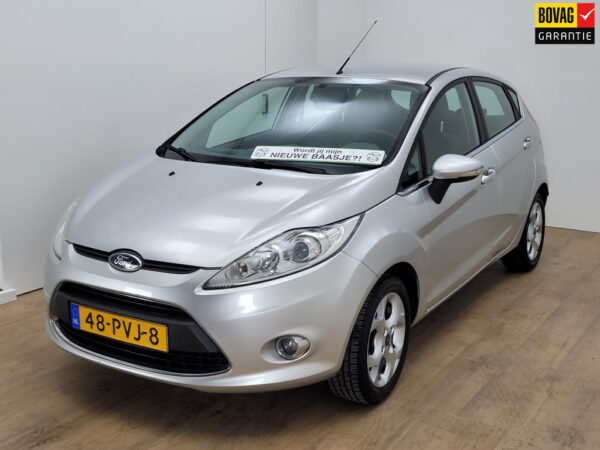 Ford Fiesta grijs 2011