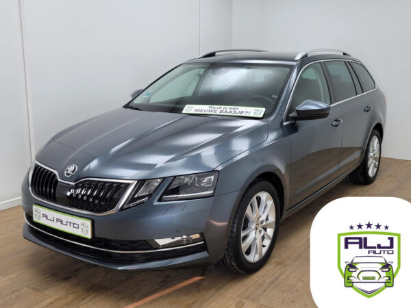 Škoda Octavia occasion Grijs bij ALJ Auto in Zeeland 1